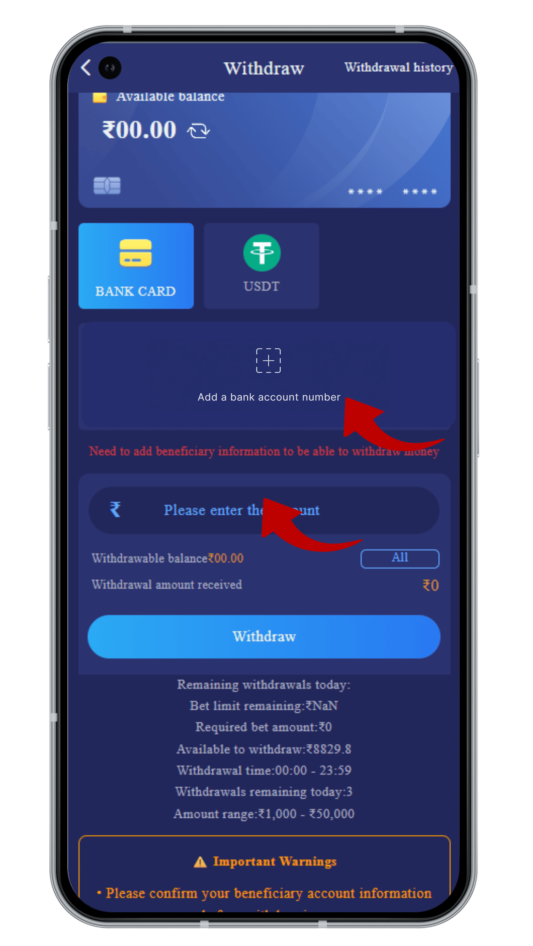 Enter Amount and Payment Details